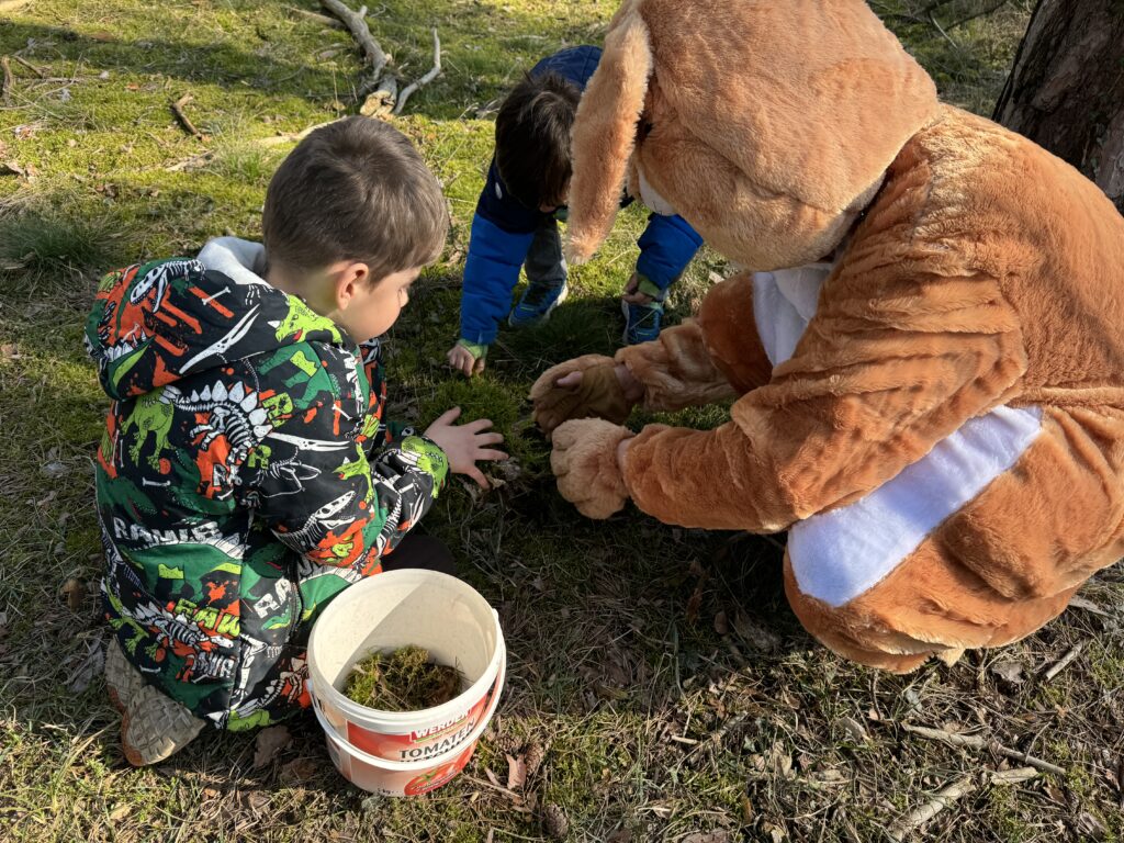 Gemeinsam mit dem Hasen Naturmaterialien gesammelt.